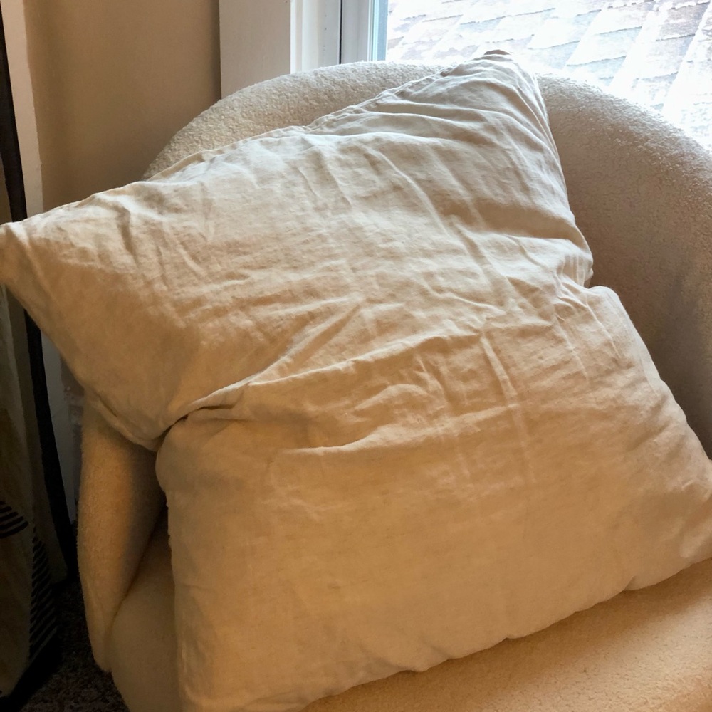 Dazed but Amazed Neutral Linen-Texture Euro Pillowcase - Oat - Picture 3 of 3